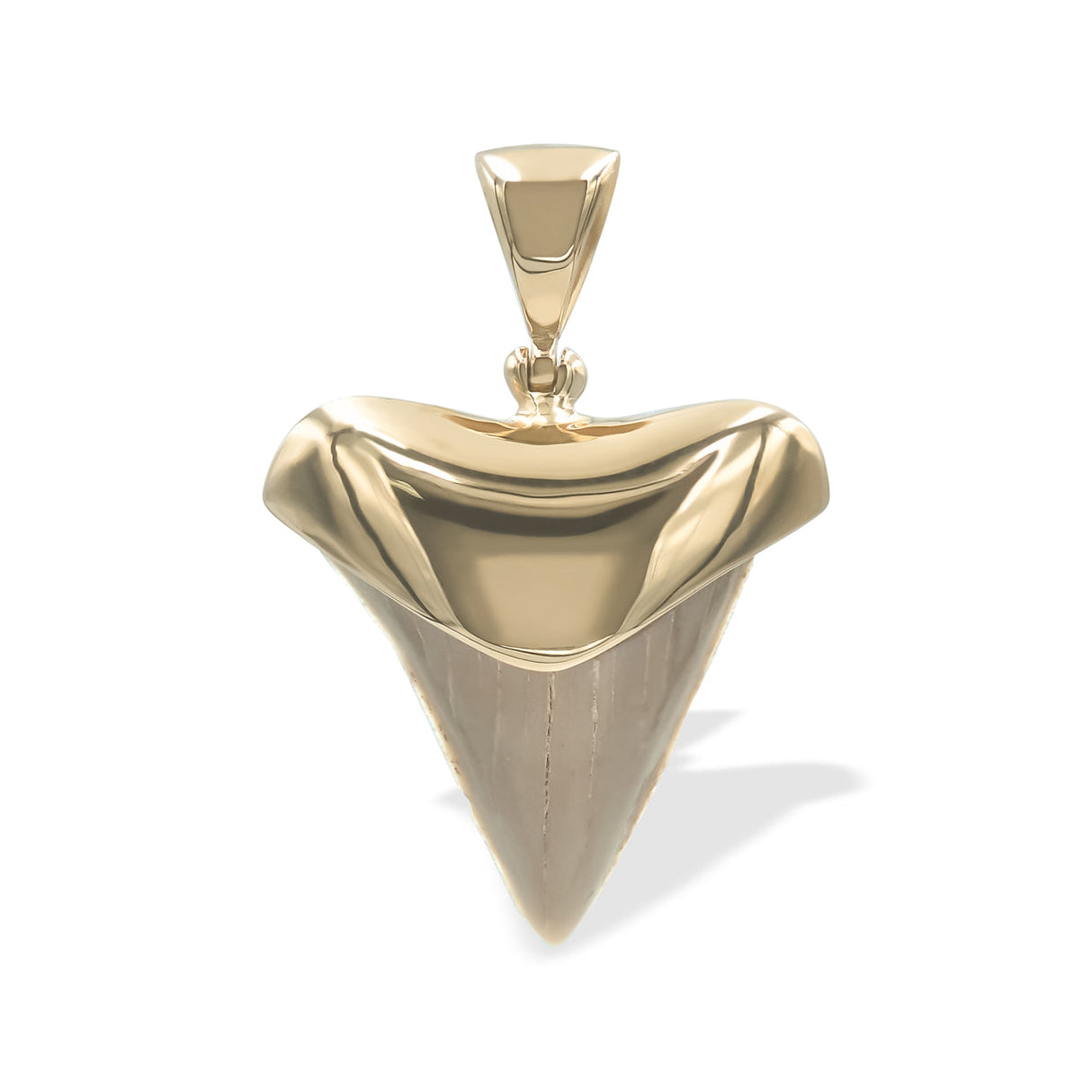Starborn Light Fossil Shark Tooth Cap Set Pendant in 18k Gold Plated Brass