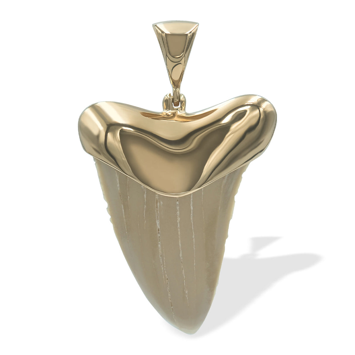 Starborn Light Fossil Shark Tooth Cap Set Pendant in 18k Gold Plated Brass