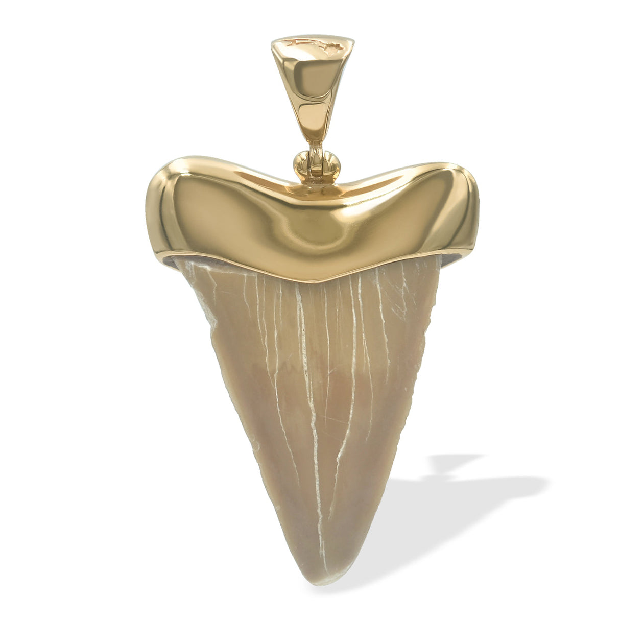 Starborn Light Fossil Shark Tooth Cap Set Pendant in 18k Gold Plated Brass
