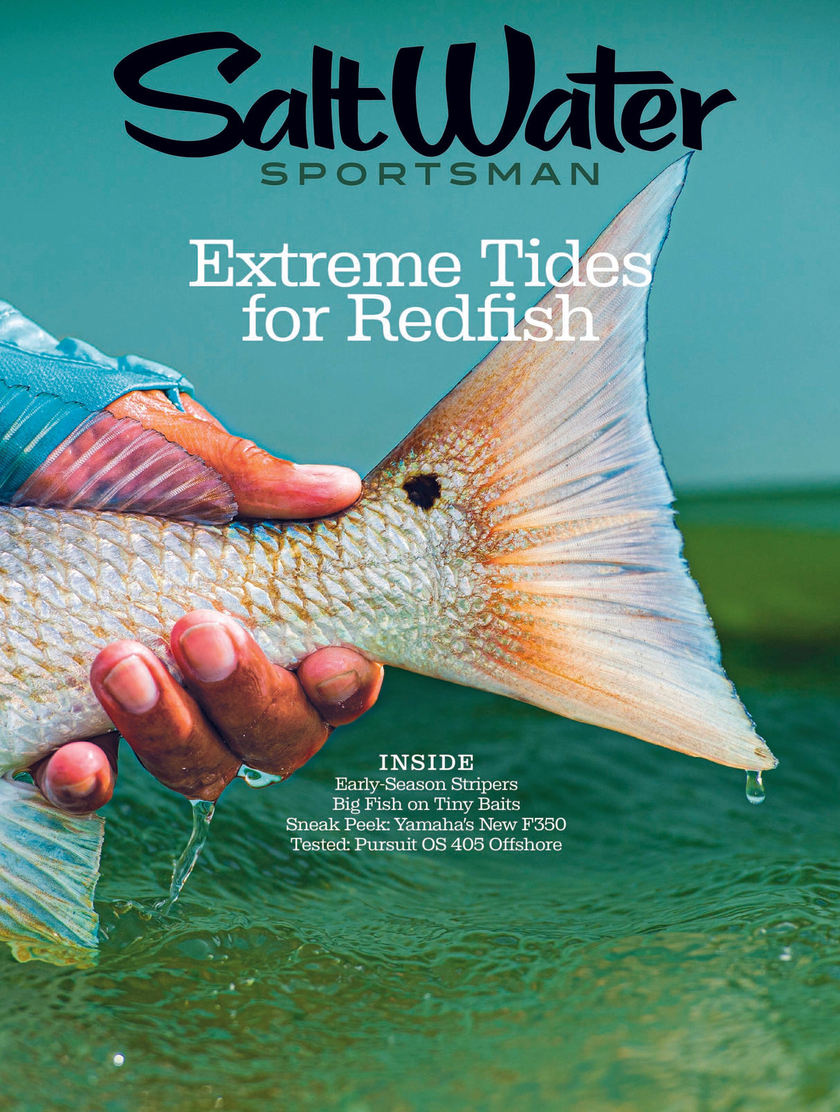 Salt Water Sportsman April 2024