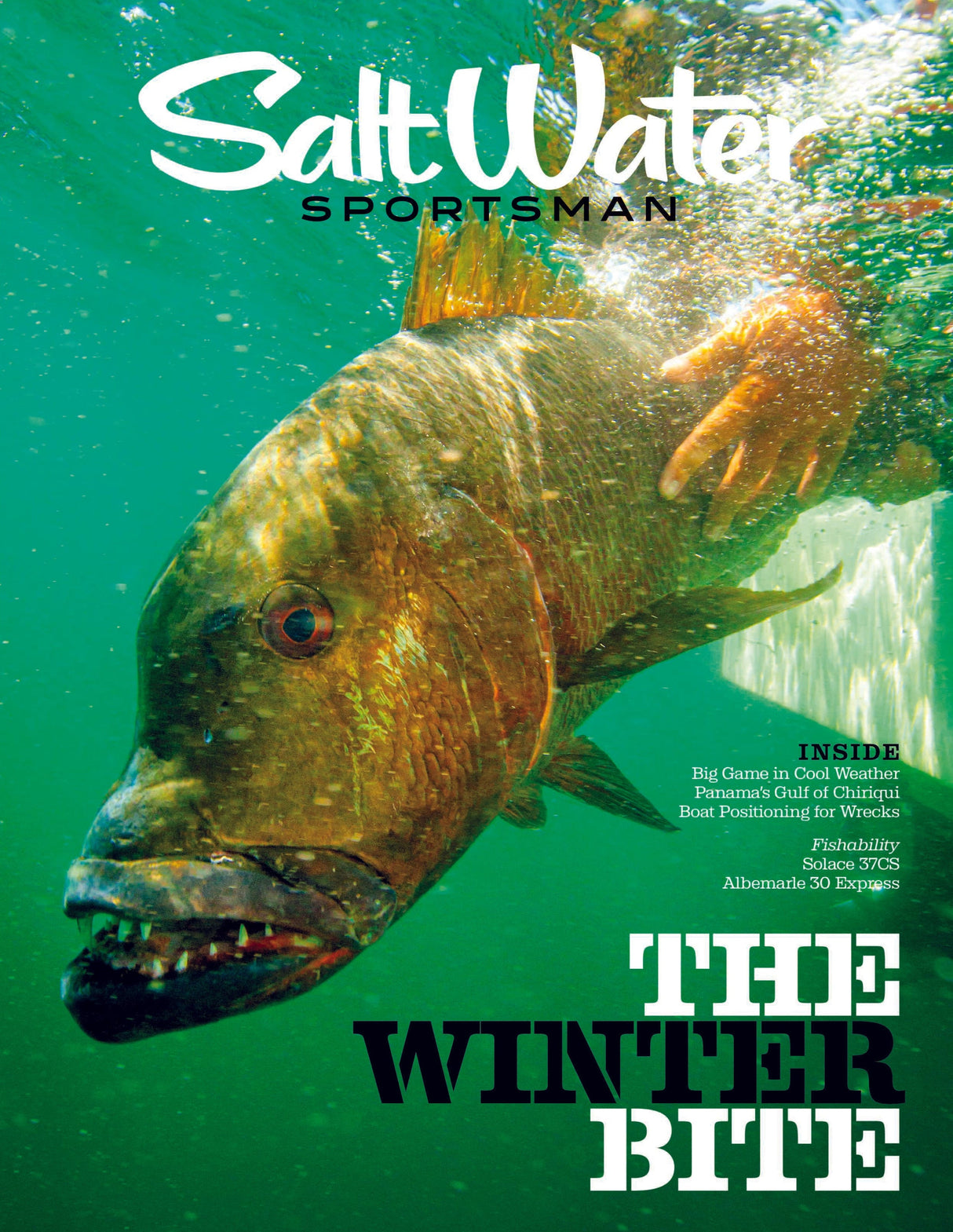 Salt Water Sportsman Nov/Dec 2024