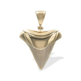 Starborn Light Fossil Shark Tooth Cap Set Pendant in 18k Gold Plated Brass