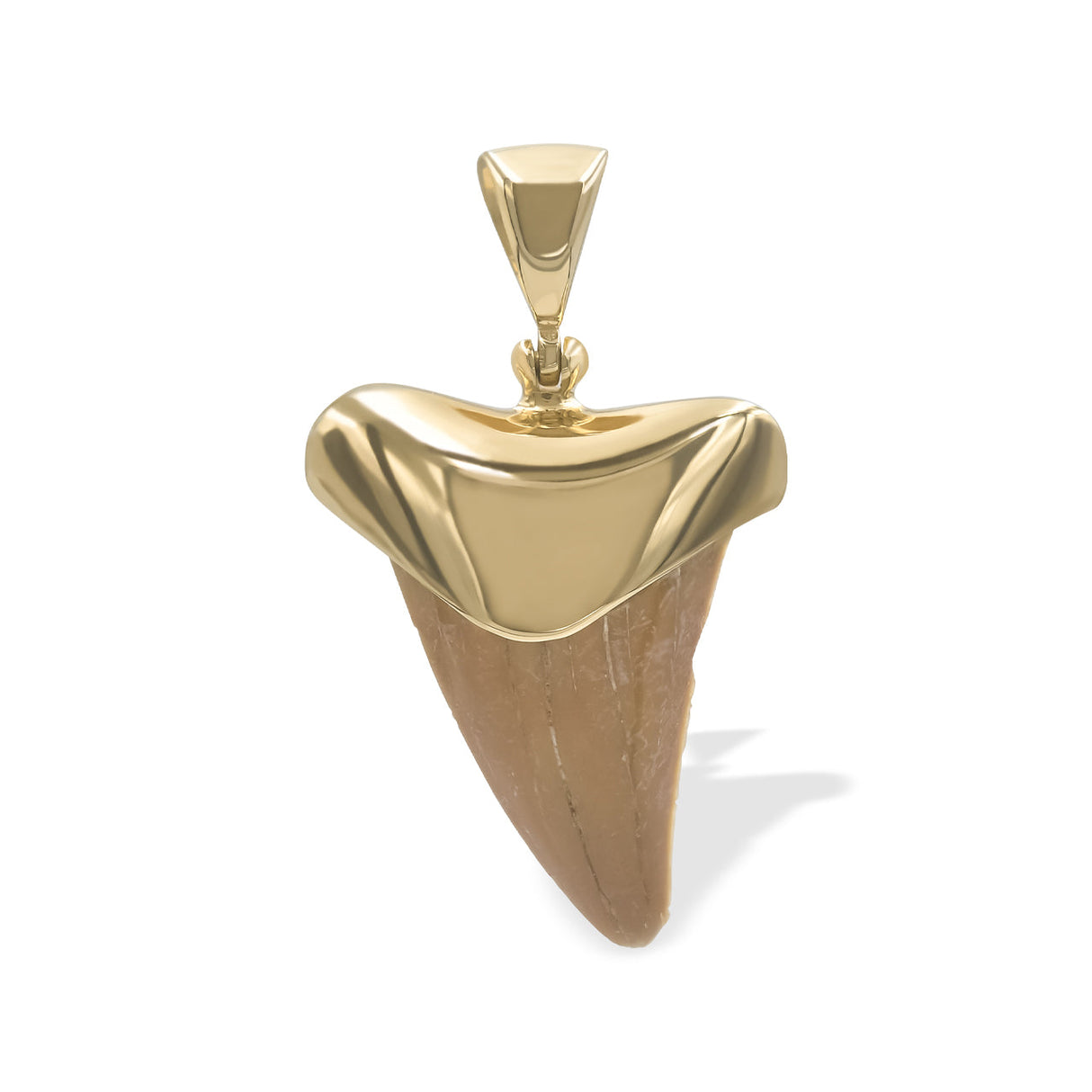 Starborn Light Fossil Shark Tooth Cap Set Pendant in 18k Gold Plated Brass