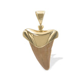 Starborn Light Fossil Shark Tooth Cap Set Pendant in 18k Gold Plated Brass