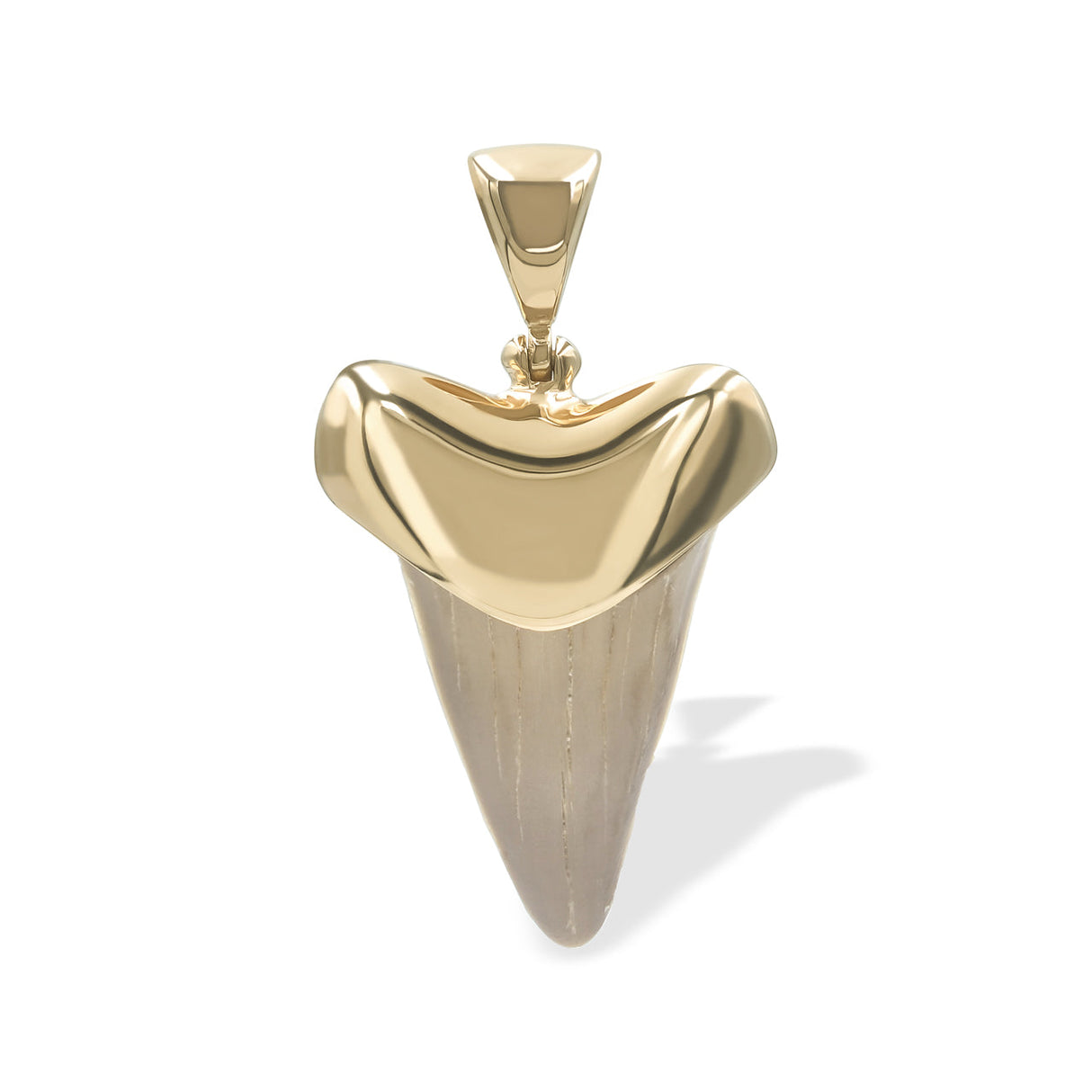 Starborn Light Fossil Shark Tooth Cap Set Pendant in 18k Gold Plated Brass