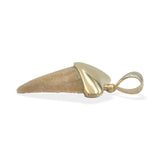 Starborn Light Fossil Shark Tooth Cap Set Pendant in 18k Gold Plated Brass
