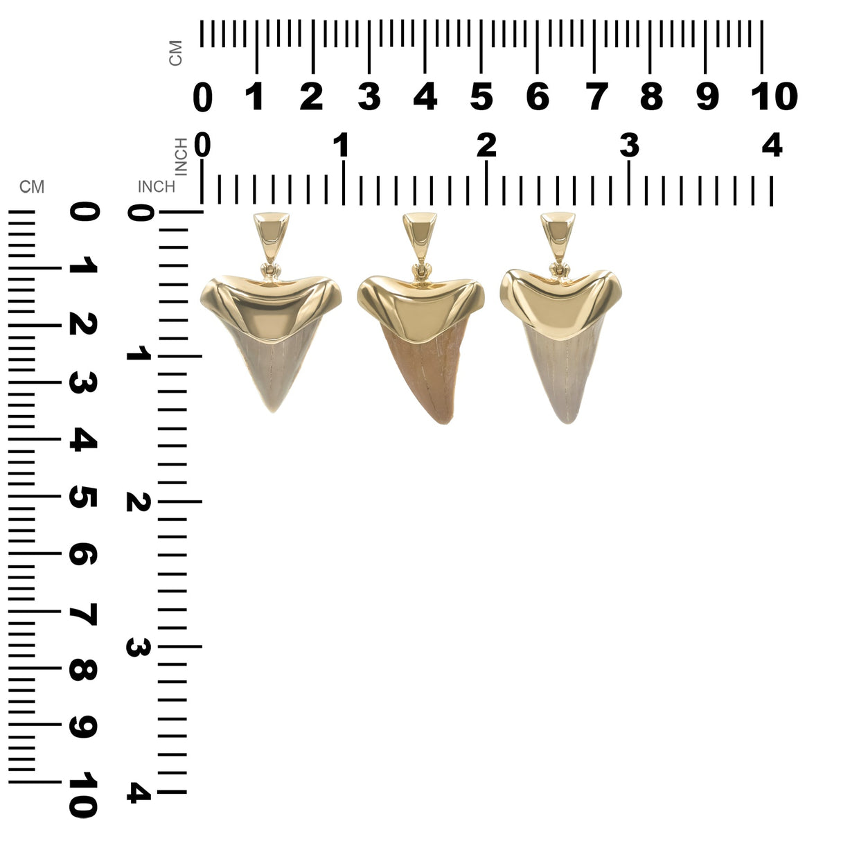Starborn Light Fossil Shark Tooth Cap Set Pendant in 18k Gold Plated Brass