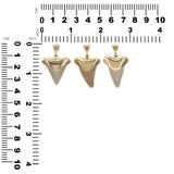 Starborn Light Fossil Shark Tooth Cap Set Pendant in 18k Gold Plated Brass