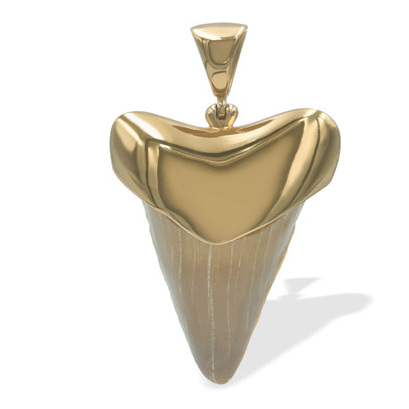 Starborn Light Fossil Shark Tooth Cap Set Pendant in 18k Gold Plated Brass
