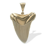 Starborn Light Fossil Shark Tooth Cap Set Pendant in 18k Gold Plated Brass
