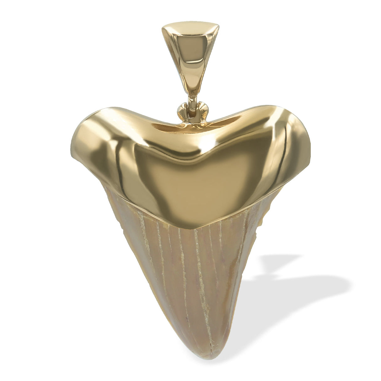 Starborn Light Fossil Shark Tooth Cap Set Pendant in 18k Gold Plated Brass