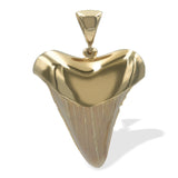 Starborn Light Fossil Shark Tooth Cap Set Pendant in 18k Gold Plated Brass