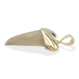 Starborn Light Fossil Shark Tooth Cap Set Pendant in 18k Gold Plated Brass