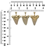 Starborn Light Fossil Shark Tooth Cap Set Pendant in 18k Gold Plated Brass