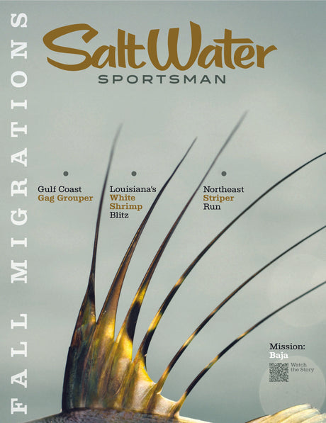 Magazine cover titled 'Salt Water Sportsman' with fishing lure and text on a light green background