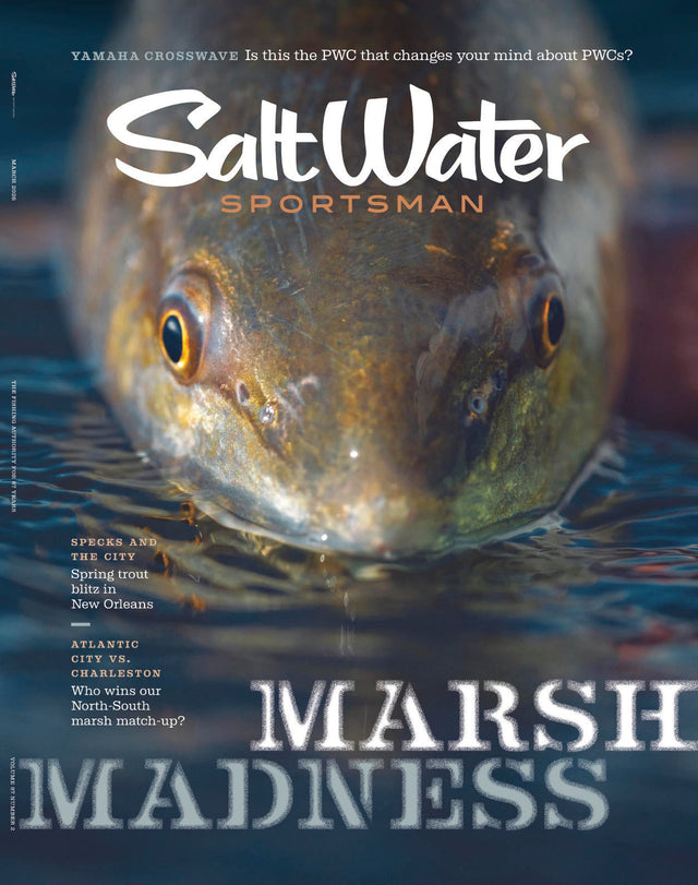 Magazine cover featuring a fish with text about saltwater sportsman and marsh madness.