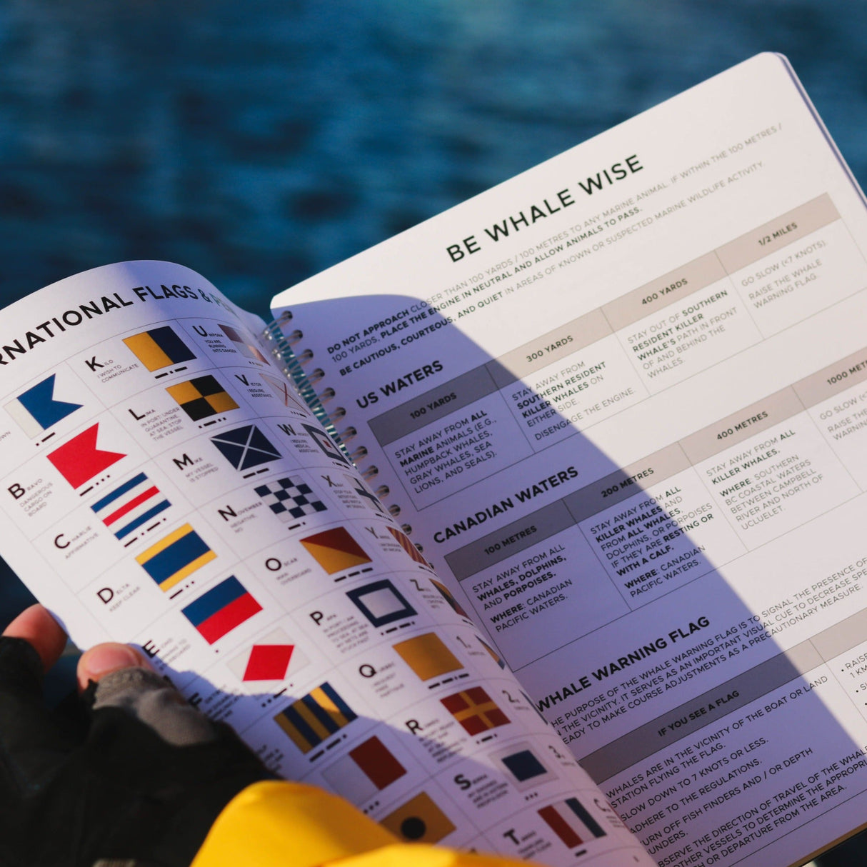 One Ocean Logbook