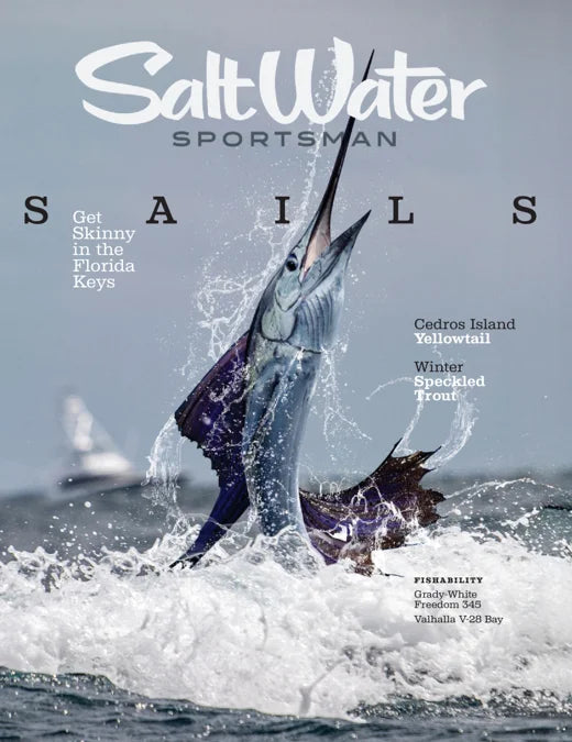 Magazine cover featuring a marlin fish leaping out of the water with 'Salt Water Sportsman' branding.
